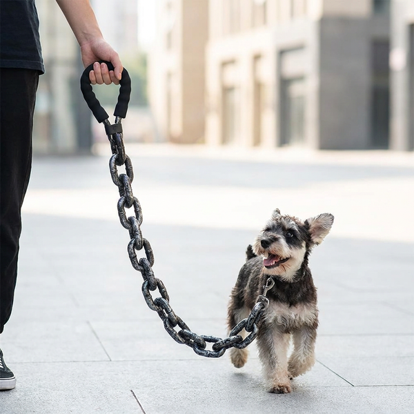 One person walking a happy schnauzer on the oversized chain-link dog leash on a bright city street