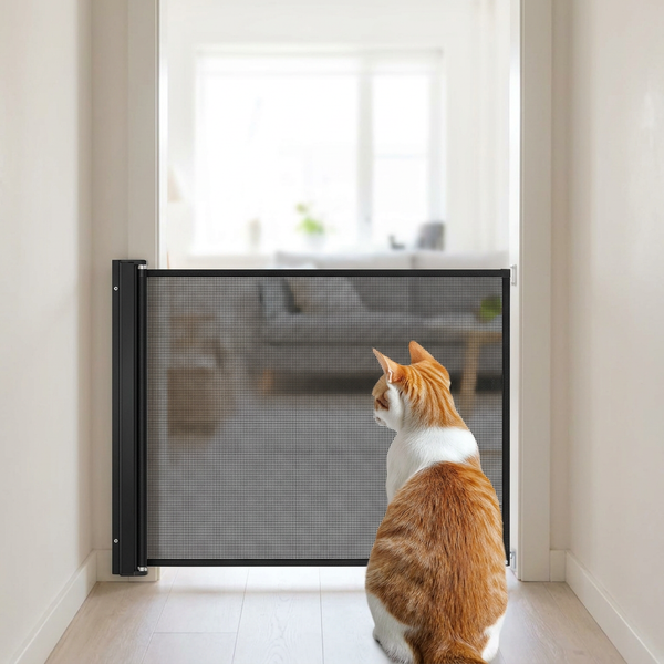Cat beside a black retractable mesh pet gate in a doorway