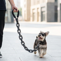 One person walking a happy schnauzer on the oversized chain-link dog leash on a bright city street