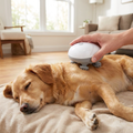 Electric pet massager massaging a relaxed dog's back