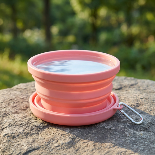 2-in-1 Travel Pet Bowl